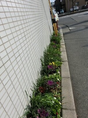 サーパスタン大町の花壇の写真3