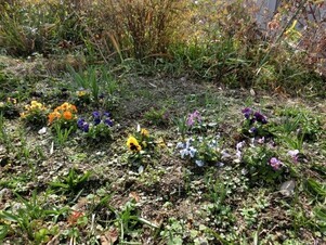 大町東二丁目長束八木線の花壇の写真2