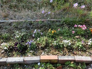 大町東2-5道路沿いの写真1