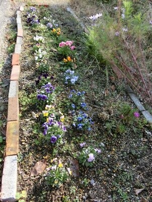 大町東2-5道路沿いの写真2