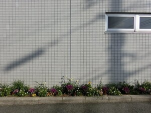 サーパスタウン大町の花壇の写真1