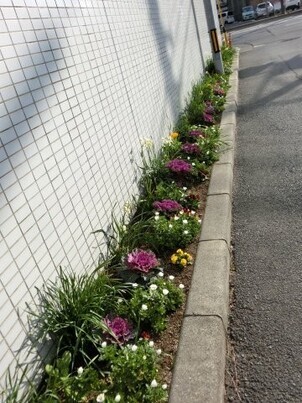 サーパスタウン大町の花壇の写真2