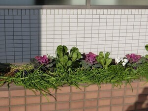 サーパスタン大町の花壇の写真3