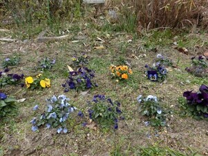 アストラムライン大町駅の花壇の写真