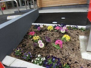 広島県信用組合安古市支店の花壇の写真1