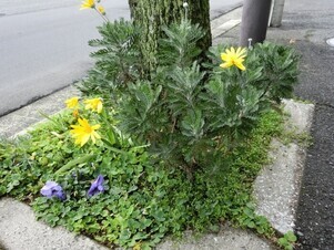 大町東花壇3
