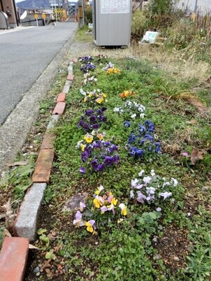 大町東2-5道路沿いの写真1