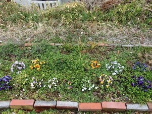 大町東2-5道路沿いの写真2