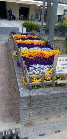 山本第5公園の花壇の写真1