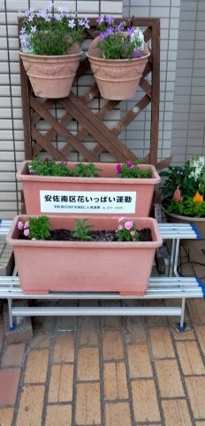 祇園西公民館のプランターの写真