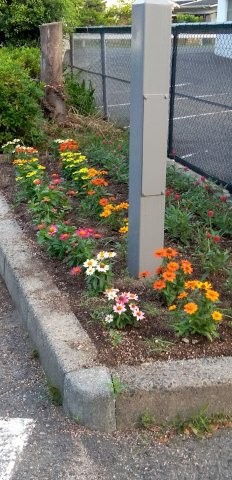 祇園西公民館のプランターの写真