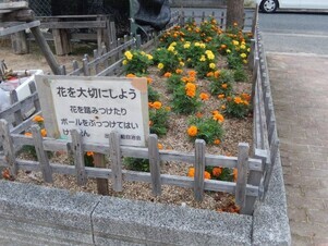 山本第5公園の花壇の写真1