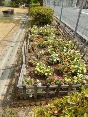 山本第5公園の花壇の写真1