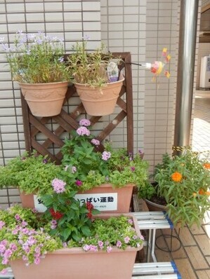 祇園西公民館のプランターの写真
