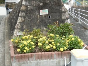 長束西四丁目の花壇の写真1
