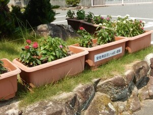 祇園公民館のプランターの写真2