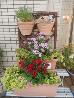 祇園西公民館のプランターの写真