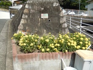 長束西四丁目の花壇の写真1