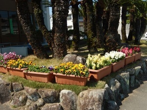 祇園公民館のプランターの写真2