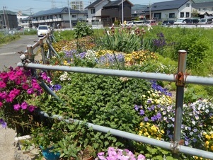 東野三丁目道路予定地の花壇の写真2