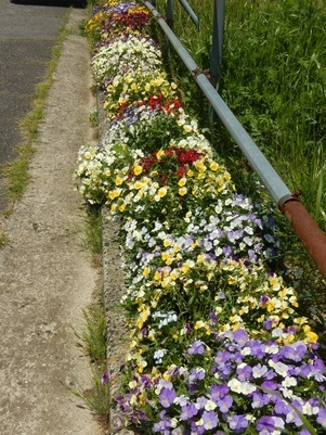 東野三丁目道路予定地の花壇の写真1