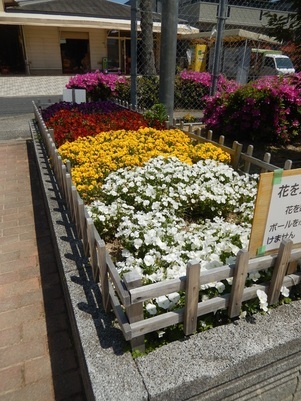 山本第5公園の花壇の写真2