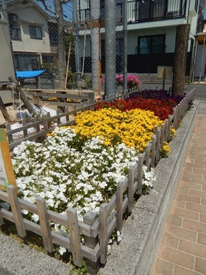 山本第5公園の花壇の写真3