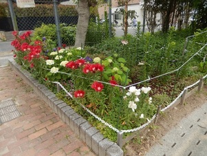 山本第五公園の花壇の写真　4