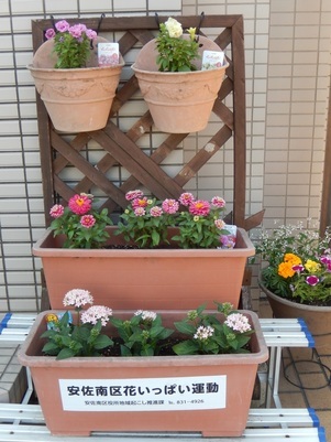 祇園西公民館のプランターの写真