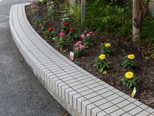祇園西公民館の花壇の写真1