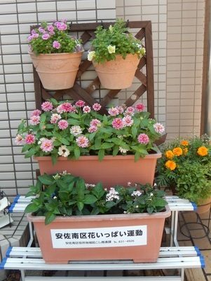 祇園西公民館の花壇の写真3