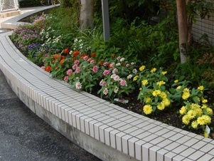 祇園西公民館の花壇の写真4
