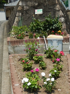 長束西四丁目の花壇の写真1