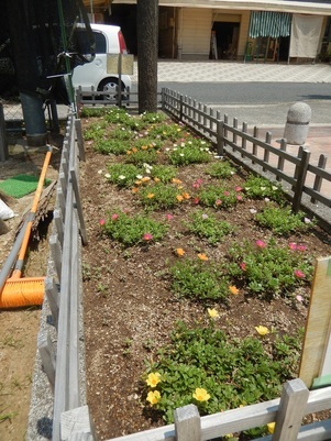 山本第5公園の花壇の写真2