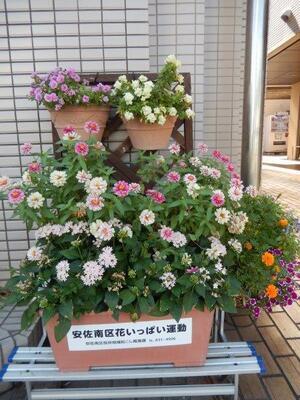 祇園西公民館の花壇の写真1