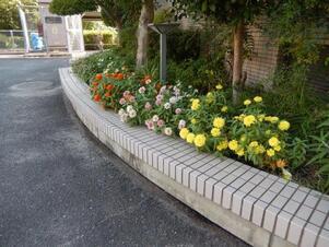 祇園西公民館のプランターの写真