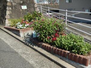 長束西四丁目の花壇の写真1