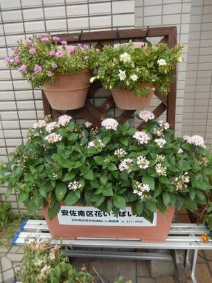 祇園西公民館の花壇の写真1