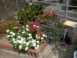 長束西四丁目の花壇の写真2