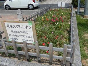 山本第5公園の花壇の写真2