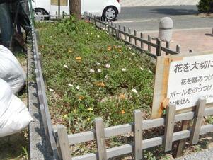 山本第5公園の花壇の写真3