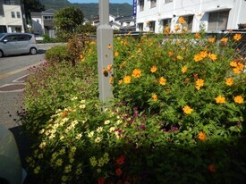 祇園西公民館のプランターの写真