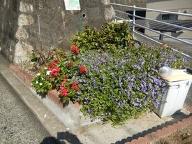 長束西四丁目の花壇の写真1