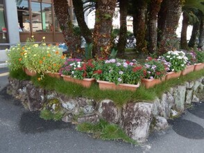 祇園公民館のプランターの写真1