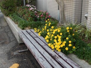 祇園西公民館の花壇の写真1