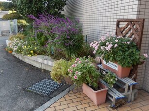 祇園西公民館のプランターの写真