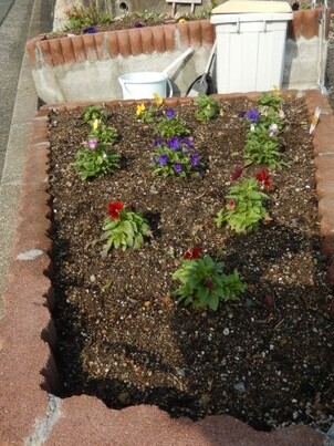 長束西四丁目の花壇の写真1