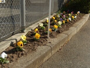 祇園西公民館の花壇の写真1
