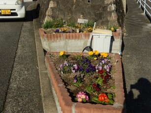 長束西四丁目の花壇の写真1