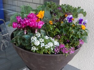 祇園公民館のプランターの写真1